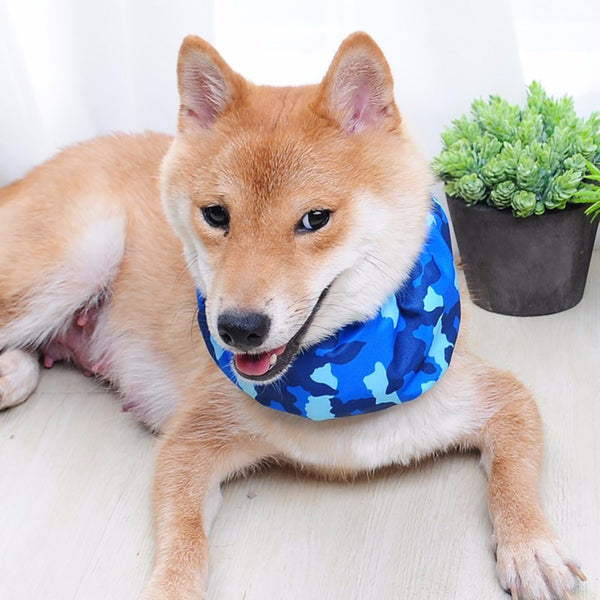 Pet cooling scarf