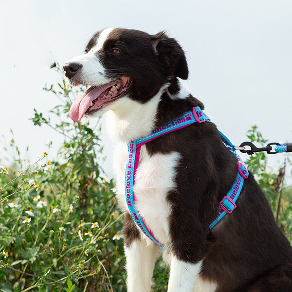 Arnés para perros reflectante antitirones, diseño táctico militar para entrenamiento, acolchado de neopreno, malla cómoda y ajustable