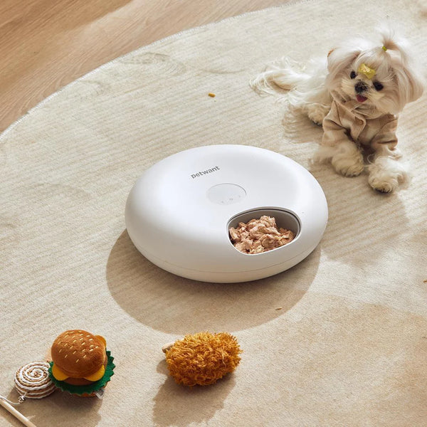 Comedero automático inteligente para gatos con 6 comidas: dispensador de comida temporizado para alimentos húmedos y secos