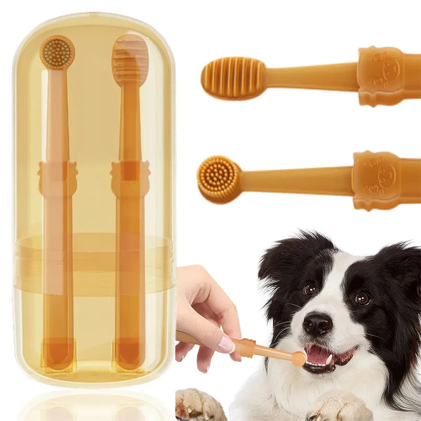 Kit de soins dentaires pour animaux de compagnie : ensemble complet d'hygiène bucco-dentaire pour chiens et chats