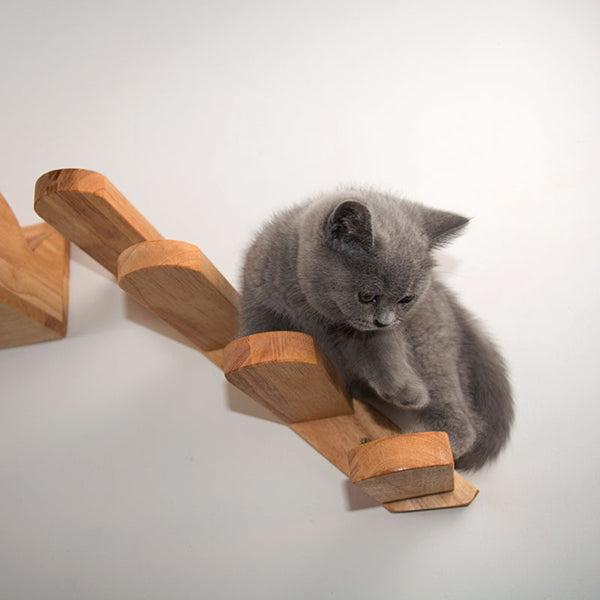 Gatos trepando escaleras sobre paredes de madera maciza, trampolines de madera de caucho y juguetes para escaleras 