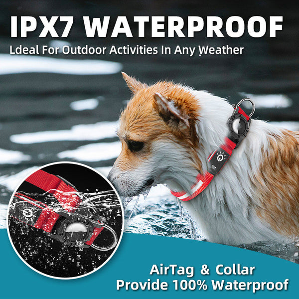 Collar localizador para mascotas resistente al agua IPX7