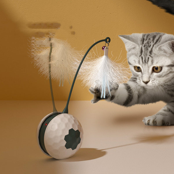 Profitez des jouets intelligents électriques résistants aux morsures pour chats Produits pour animaux de compagnie