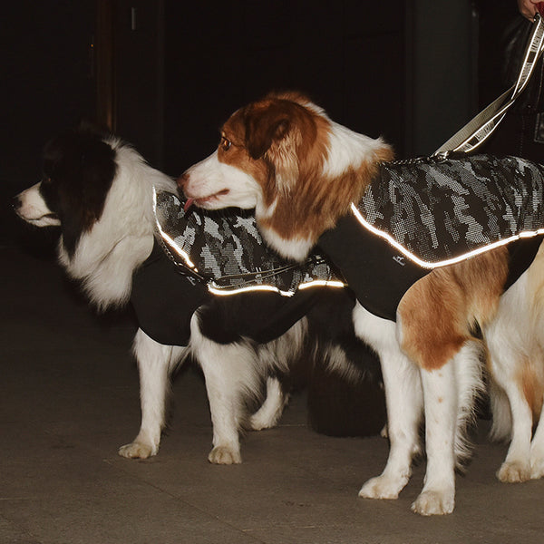 Functional Pet High-reflective Assault Suit