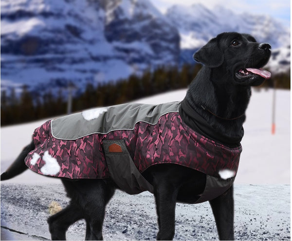 Veste d'hiver chaude pour chiens de taille moyenne et grande