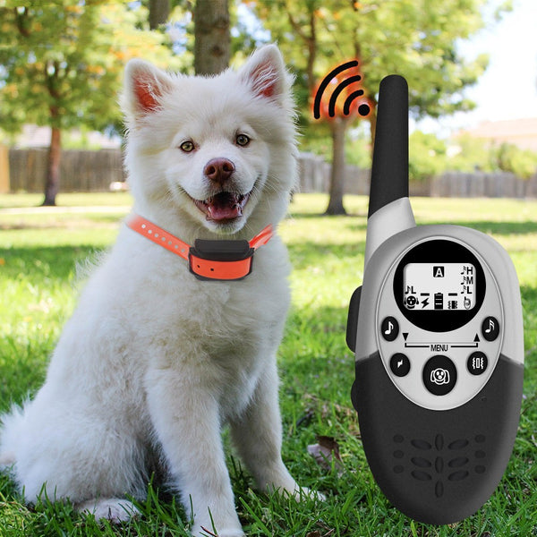 Entrenador de perros con control remoto inteligente y recargable de 1000 m