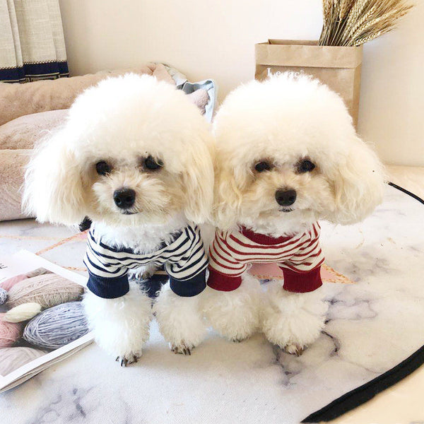 Pet Clothes Autumn New Striped Fashion Bottoming Shirt Dog Clothes