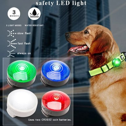 Luz LED para perros que brilla por la noche y que evita que se pierdan