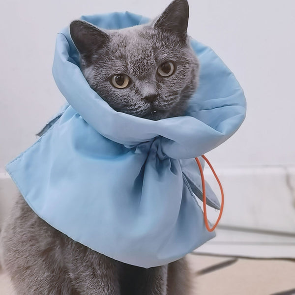 Collar cónico ajustable para gatos, collar de recuperación suave para gatos pequeños y grandes, fácil de comer y beber para gatos