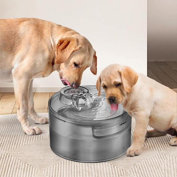 Dispensador automático de agua corriente para gatos y perros