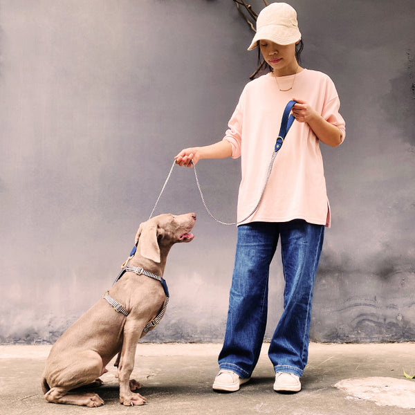 Collar para perro a prueba de explosiones con cuerda para sujetar con la mano, estilo chaleco para mascotas