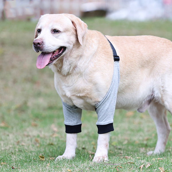 Housse de protection pour pattes avant de chien, genouillères en coton blessées, respirantes