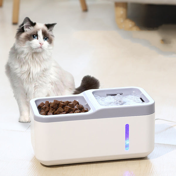 Distributeur d'eau automatique intelligent pour chat