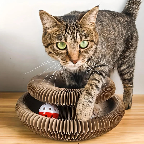 Planche à gratter pliable magique pour chat avec cloche