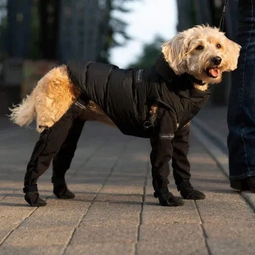 PROTECTEURS DE PATTES POUR CHIEN Chaussures pour chien Chaussures pour animaux de compagnie Imperméables Antidérapantes