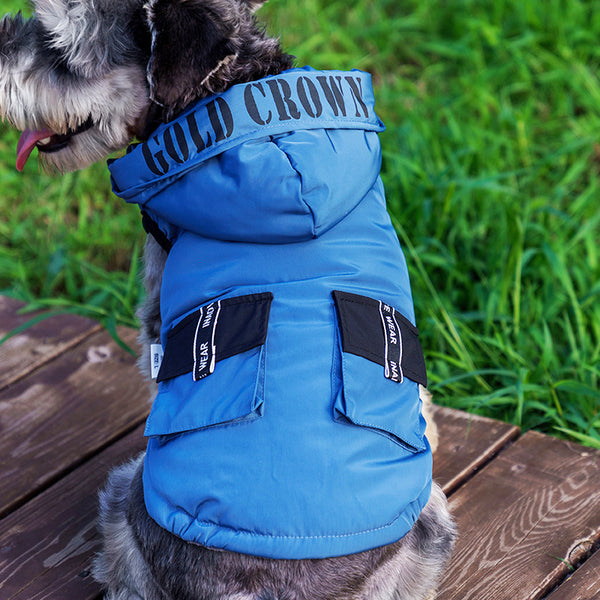 Automne et hiver nouvelle robe en coton d'hiver à capuche épaisse Jarre Aero Bull Bichon pour animaux de compagnie