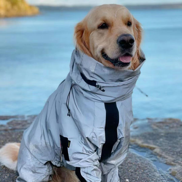 Manteau de pluie réfléchissant tactique pour chien, poncho imperméable