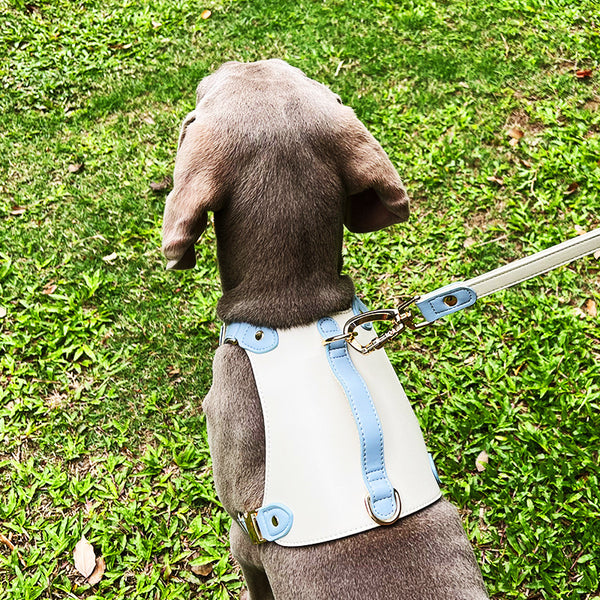 Chaleco de cuero para mascotas tipo correa para el pecho con cuerda de plomo