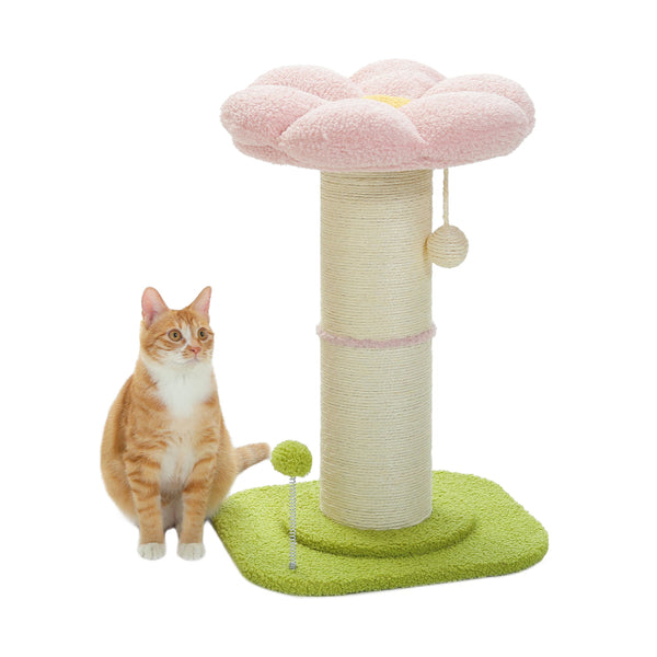 Petit griffoir pour chat avec sisal et jouet à ressort