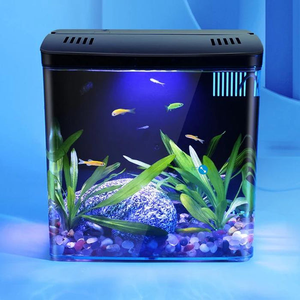 Aquarium compact à LED avec filtre arrière à circulation automatique