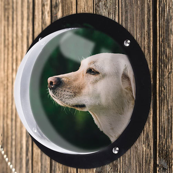 Valla semicircular transparente para mascotas y gatos con ventana dedicada