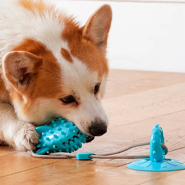 Juguete masticable duradero para perros con ventosa y dispensador de comida