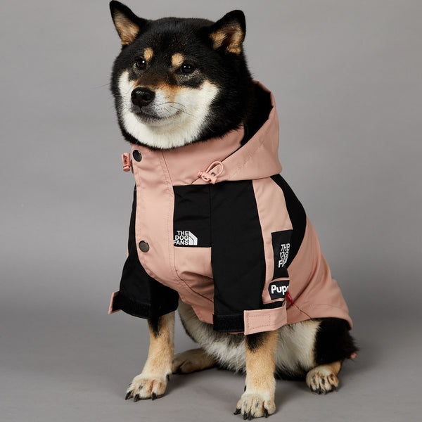 Veste imperméable coupe-vent et imperméable pour grand chien