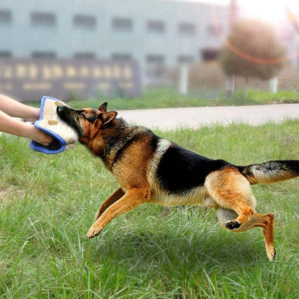 Almohada de entrenamiento para perros pastores alemanes resistente a las mordeduras de cáñamo