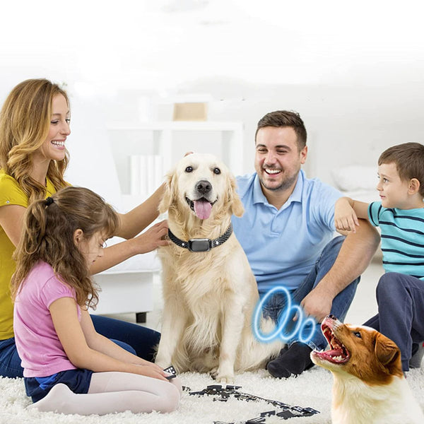 Collar de descarga eléctrica para dejar de ladrar en perros