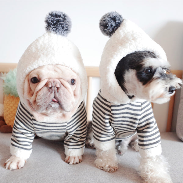 Pet Dog Lamb Velvet Striped Knitted Hooded Sweater