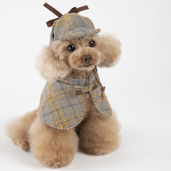 Cute Personalized Cloak Spring And Autumn Pet Clothes