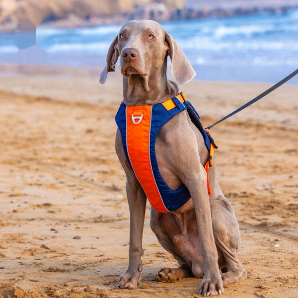 Gilet de poitrine pour chien avec corde à main, style gilet