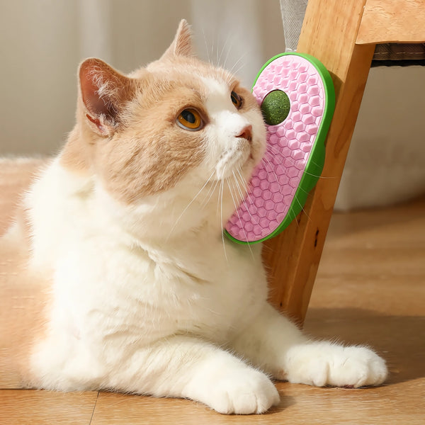 Cepillo divertido para el cuidado de gatos con hierba gatera