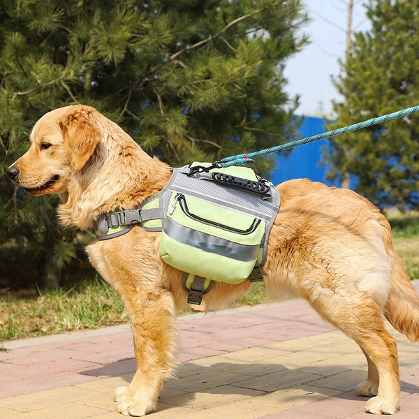 Grand sac à dos d'extérieur pour chien