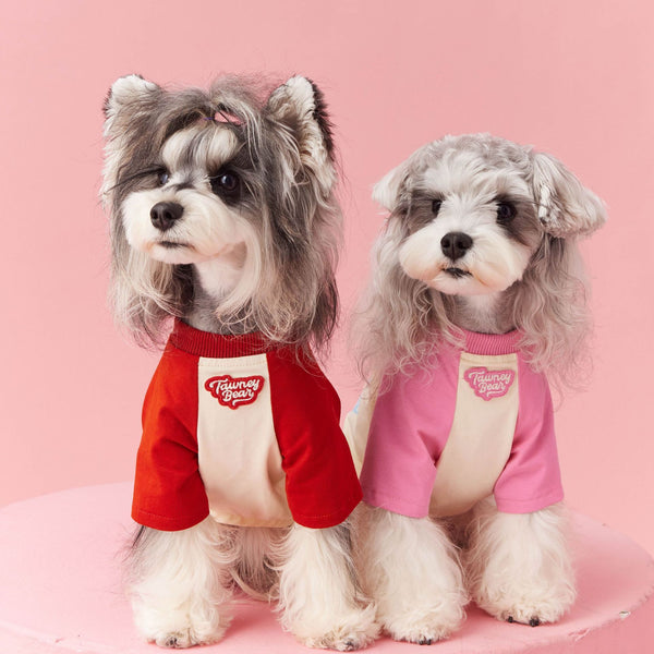 Vêtements pour chiens Vêtements d'été Couleur contrastée Beau