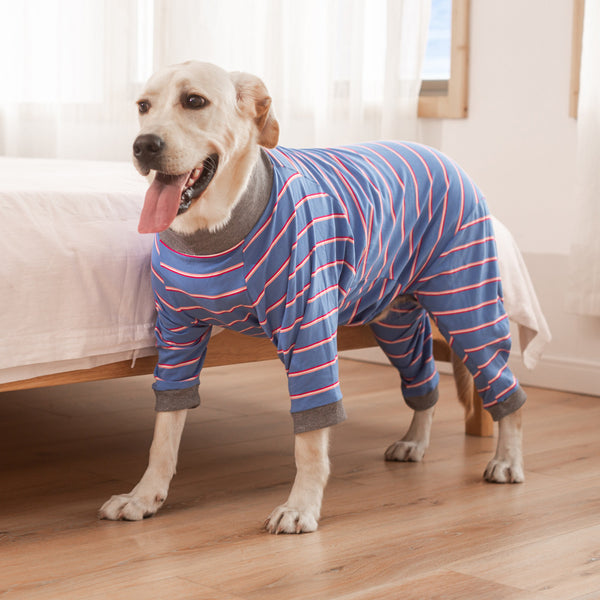 Pet Dog Home Sterilization Clothes