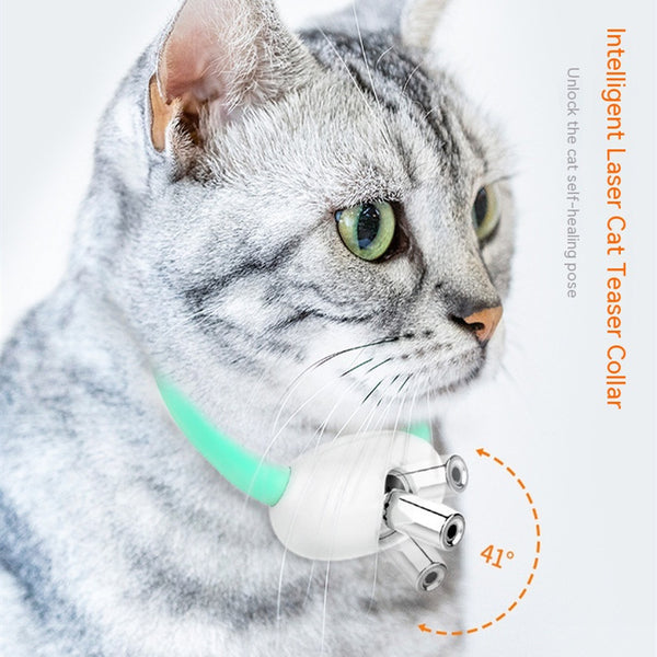 Collier automatique pour chat Mi Qi Pen