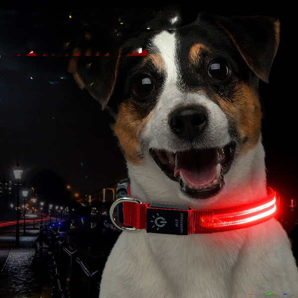 Collar LED para mascotas, resistente al agua, con iluminación nocturna