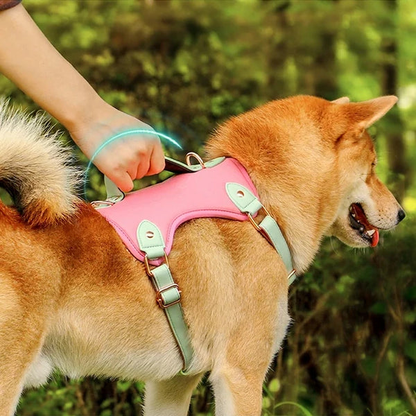 Arnés de cuero sintético de ajuste cómodo para perros de razas medianas y grandes