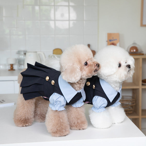 Vêtements pour chien en peluche mignons et chauds à la mode