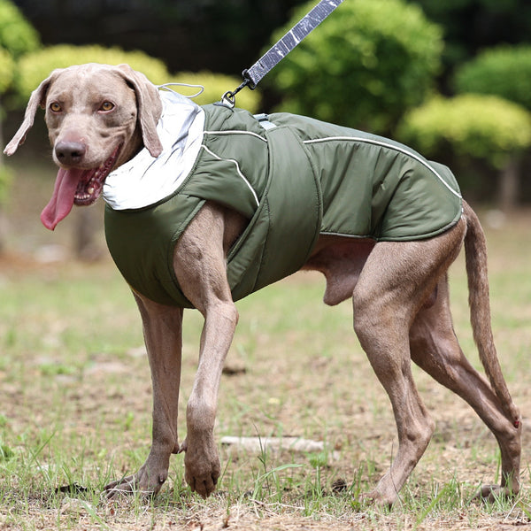 Ropa de algodón que mantiene abrigada a tu mascota