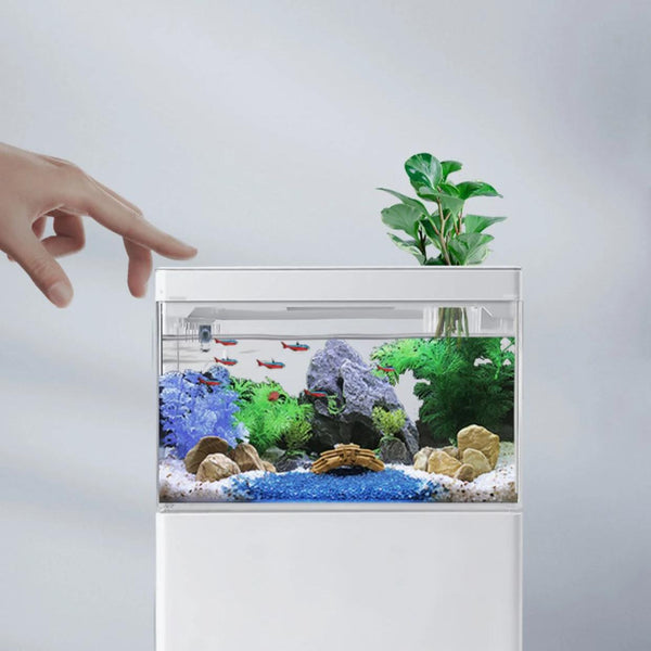 Aquarium compact Aquascape USB avec éclairage LED réglable et filtration automatique