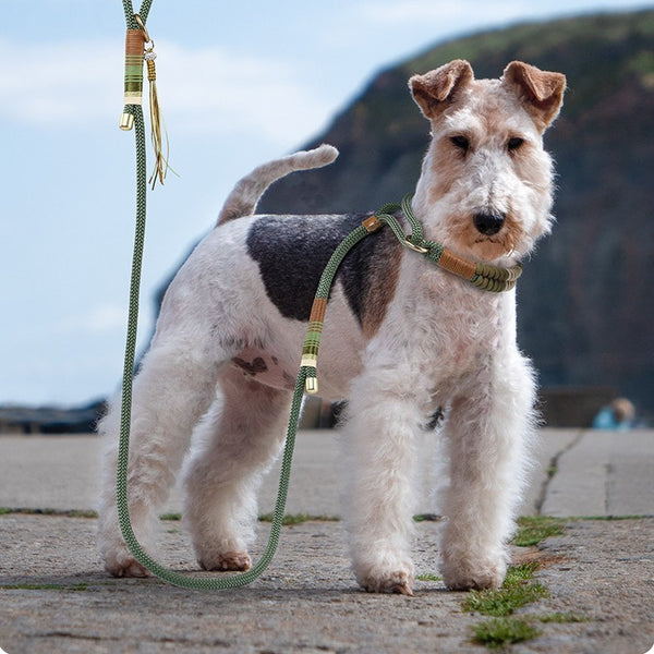 Dog Hand Holding Rope Anti Breaking Loose Collar