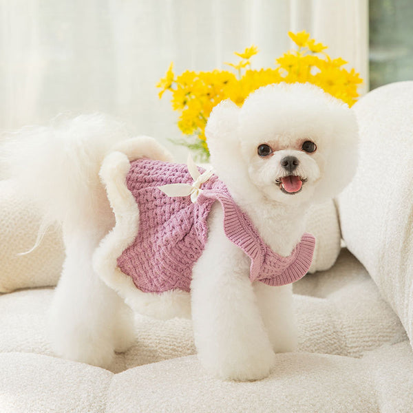 Bow Sweater Skirt Princess Wind Pet Two-legged Clothes