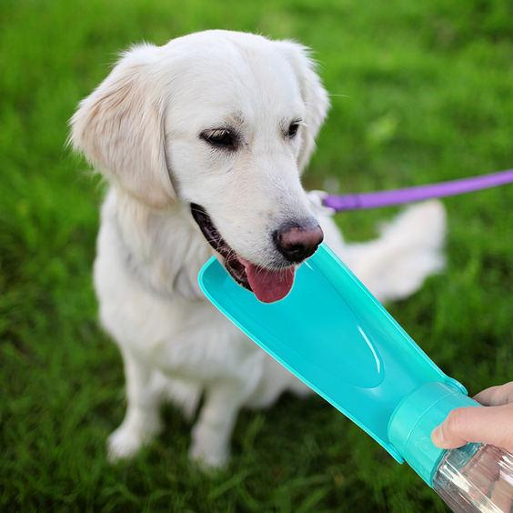 Dispensador de agua portátil y plegable para perros