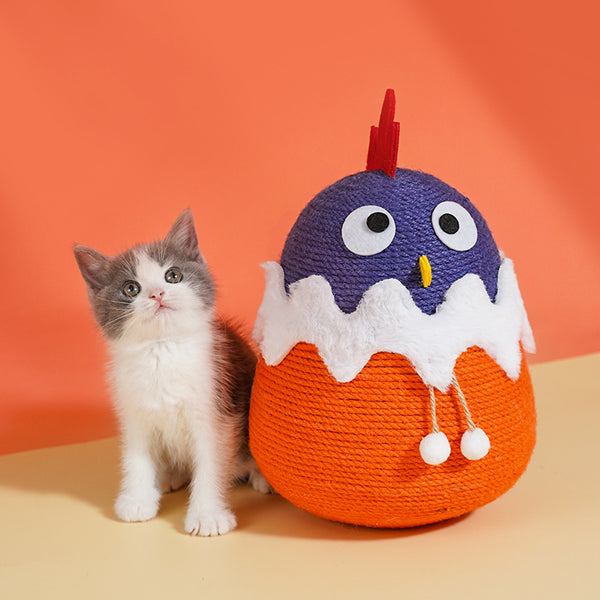 El gato mascota Tumbler atrapa la pelota y se burla