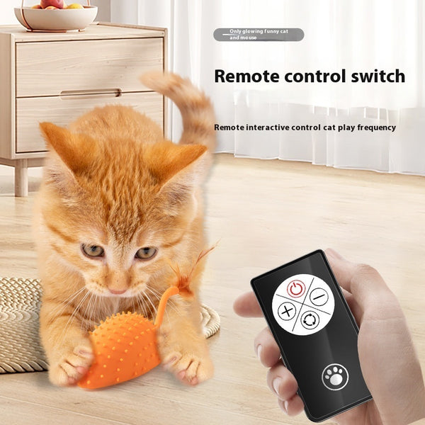 Jouet pour chat en silicone avec télécommande et chargement intelligent