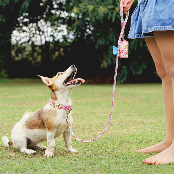 Étiquette pour chien, collier de chien personnalisé, carte d'identité avec lettrage