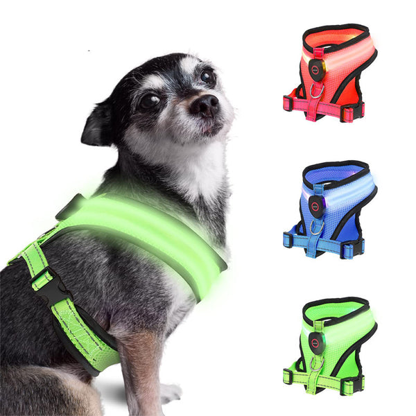 Arnés para perros con luz LED y malla recargable para mascotas