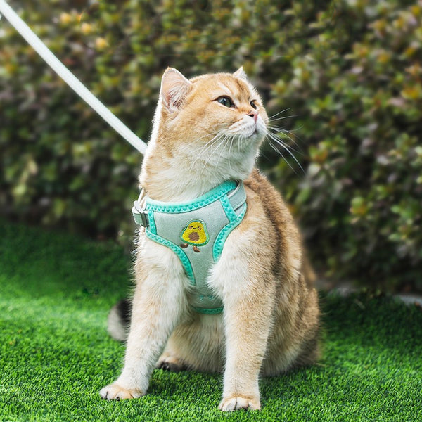 Cuerda de tracción para gatos, especial para mascotas, antiroturas